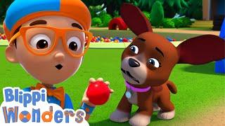 Blippi Plays Ball with Dogs! | Blippi Wonders Animated Adventures for Kids | Moonbug Kids