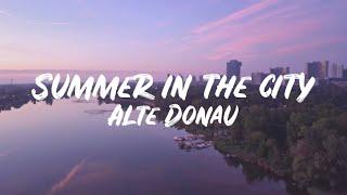 Summer in the City: Wien -  Alte Donau