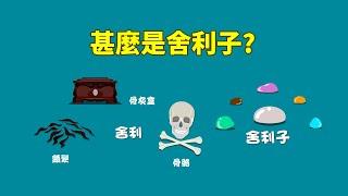 一分鐘佛教常識 甚麼是舍利子？ 舍利子 佛教知識