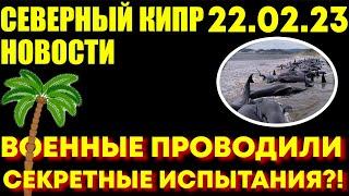 22.02.23 Новости Северный Кипр | Военные учения и гибель китов | Картошка фри для Турции