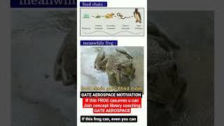 GATE AEROSPACE engineering preparation online coaching concept library viru sir iitian