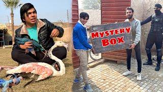 Mystery Box Agea  Kia Kia Nikla is Mein Sy ?