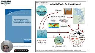 Atlantis Model | Overview of Phytoplankton Dynamics - Morzaria Luna