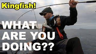 Ever seen KINGFISH behave like THIS?