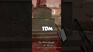 OLD Call of Duty is FIXED!