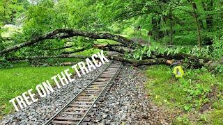 Tree Damage, Hammering on Rails and Derailing a Load