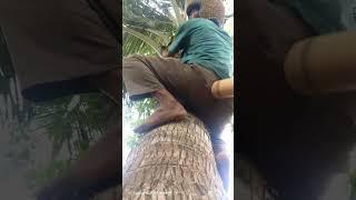 Dan terjadi lagi #ngakak #comedy