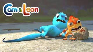 Spotlight | Cam & Leon | Best Collection Cartoon for Kids | New Episodes