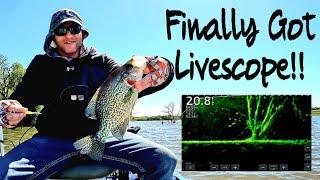 Livescope Crappies...and a Few Other Species! First Livescope Video! #crappiefishing #Livescope