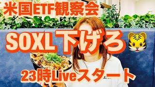 米国ETF観察会  今日PPISOXL下げろ レバナスLive 843夜 2024/11/14