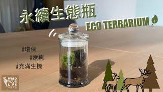 充滿生機の永續生態瓶Eco Terrarium | 木作森活