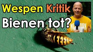 Hilfe! Bienensterben durch Wespen? Kritikvideo Bienen retten