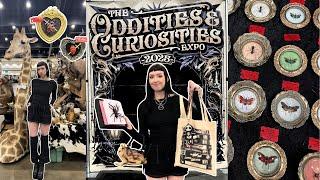 Oddities and Curiosities Expo 2025 | huge haul, taxidermy classes, and spooky vendors