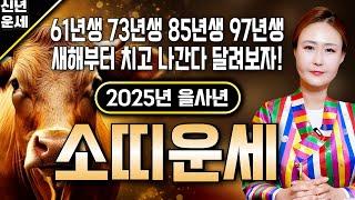 2025년 미리보는 을사년 소띠운세 '기쁜 소식이 들려온다' 2025년 막힌 금전이 풀리고 복을 가져다줄 귀인이 찾아온다?! 하늘과 조상이 도와 내 인생이 달라진다!