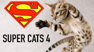 Super Cats 4