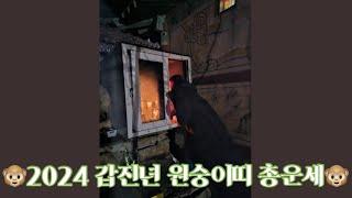 2024 갑진년 원숭이띠 총운세