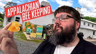 Harvesting Fresh Honey Deep in Appalachia