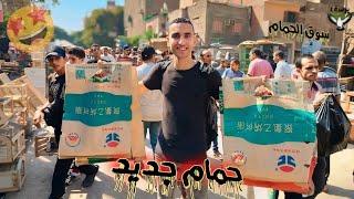 نزلت سوق السيدة عائشة و اشتريت اجمل واغلي انواع الحمام (جوله داخل السوق)