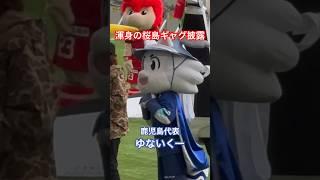 【渾身の桜島ギャグ披露】ゆないくー（鹿児島ユナイテッド）マスコット大運動会