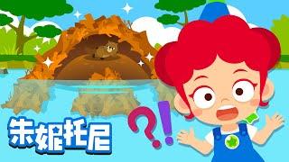 動物们的家 | 動物兒歌 | 朱妮托尼兒歌 | 小浣熊的家在哪裏呢？ | Animals' Place | Kids Song in Chinese | 兒歌童謠 | 卡通動畫 | 朱妮托尼童話故事