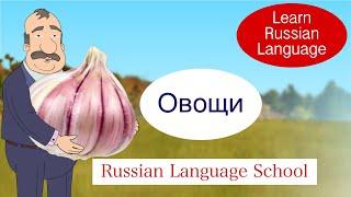 Vegetables in Russian Vocabulary, Learn Russian