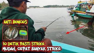 TEHNIK TERCEPAT MANCING IKAN BELANAK || SAMPAI KEWALAHAN