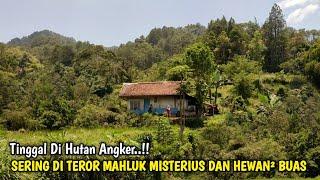 NEKAD... Sepasang Lansia Memilih Tinggal Di Tengah Hutan Angker..Tanpa Listrik Jauh Kemana-mana.