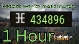 Fastest Way To Make Money In The Hunter Call Of The Wild!