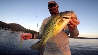 Catching schools of Largemouth Bass (Loon Lake, WA)