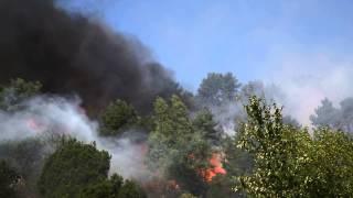 Kaliningrad region. Morskoe/ 23.07.2014 forest fire