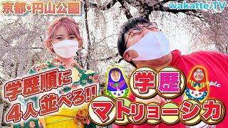 花見会場に潜入！京都･円山公園で学歴マトリョーシカ！【wakatte TV】#702