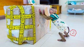 Monkey PUPU is curious about the huge package from the shipper