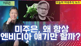 [오늘의 미국주식뉴스] 엔비디아 주식 투자, 아직 늦지 않았다! / 테슬라 주가, 앞으로 이렇게 될겁니다 / 일론머스크, 후회한다 / 스트레티지의 비트코인 레버리지 투자법