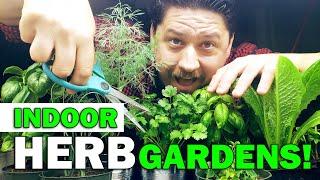 Indoor Herb Gardens - The Definitive Guide For Beginners