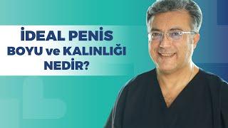 İdeal Penis Boyu ve Kalınlığı Nedir?