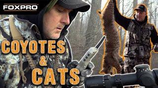 Late-Season Coyote and Bobcat Hunting