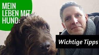 Mein Leben mit Hund: Wichtige Tipps für Hundebesitzer!