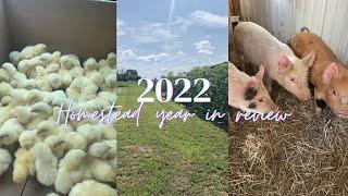 Looking Back Our Homestead Year in Review 2022