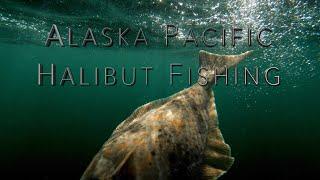 Halibut Fishing Alaska Small Craft Adventures: Kachemak Bay, Homer Alaska (Catch and Clean)