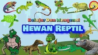 Belajar & Mengenal Hewan Reptil...