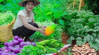 Harvesting Cucumbers & Fruits, Building a Simple Stove | Cooking Fresh Food