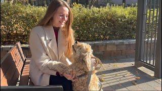 한국어 공부하더니 이젠 강아지랑도 한국어로 소통하는  여자 | How much did her Korean improve in 10 weeks??