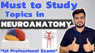 Must to Study topics in Neuroanatomy | 1st Year Professional Exams