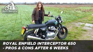 Royal Enfield Interceptor 650 - review after 6 weeks