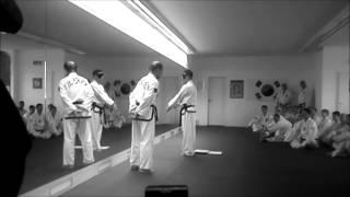 Kwon Jae Hwa Taekwo-Do Center Gersthofen Aichach Juliano Zylawyj.wmv