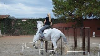 Working equitation at Haras do Castanheiro in Brazil with Marijke de Jong