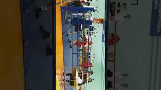бой Борис Мартынов  алманов Никита 1 раунд