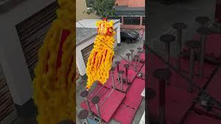 Lion Dance Daily Training️‍️#funny #liondance #dance