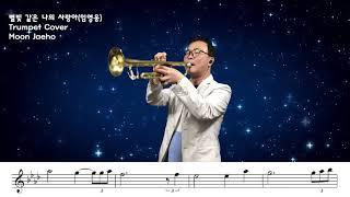 별빛 같은 나의 사랑아(임영웅)Trumpet Cover Moon Jaeho