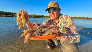We Caught Shrimp in a Huge Dip Net and Cooked them on a Beautiful Beach (Catch Clean Cook)